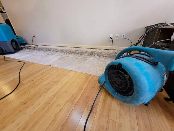 Professional Structural Drying technician working in Chocowinity, NC